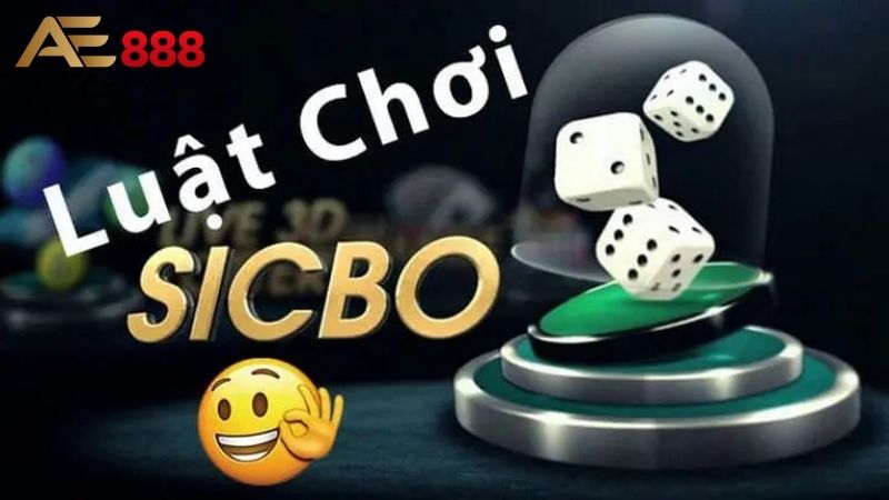 Sicbo: Cách chơi Sicbo chi tiết, tỷ lệ thắng, cách đặt cược 2 Sicbo