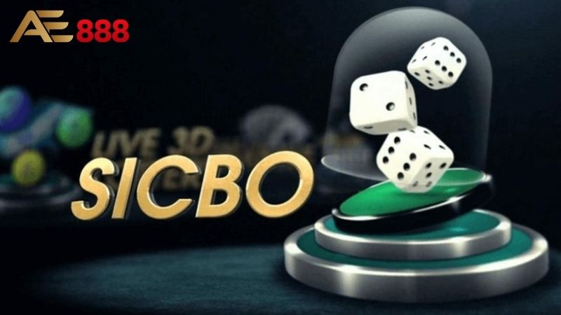 Sicbo: Cách chơi Sicbo chi tiết, tỷ lệ thắng, cách đặt cược 3 Sicbo