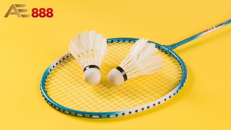 Cá cược Cầu lông