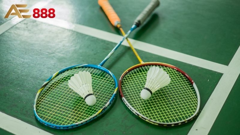 Cá cược Cầu lông