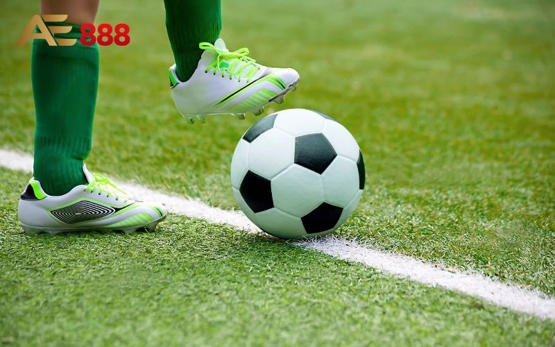 Cá cược thể thao Ae888: Thế giới cá cược đa dạng, hấp dẫn 3 Cá cược thể thao Ae888: Thế giới cá cược đa dạng, hấp dẫn